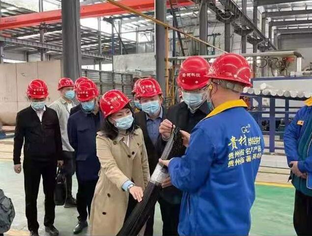 貴陽(yáng)市常委、市工商聯(lián)、廣東總商會(huì)一行到我廠調(diào)研